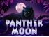 Panther Moon