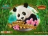 Lucky Panda