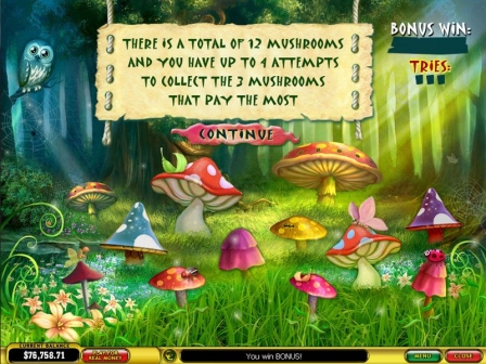 Forest of Wonders