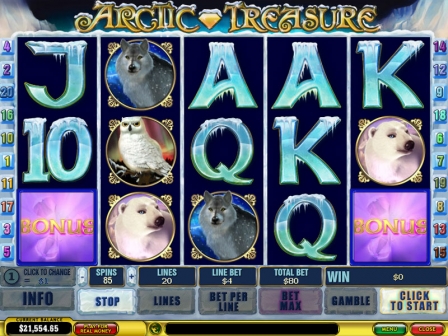 Arctic Treasure
