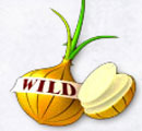 Wild