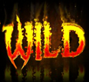 Wild Symbol